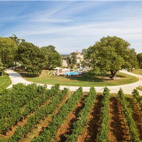 Luxury Villa Estate with 3 Pools on Istrian Vineyards near Bale, sleeps 56-60